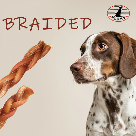 Braided bully stick dog chew – long-lasting beef treat for dogs