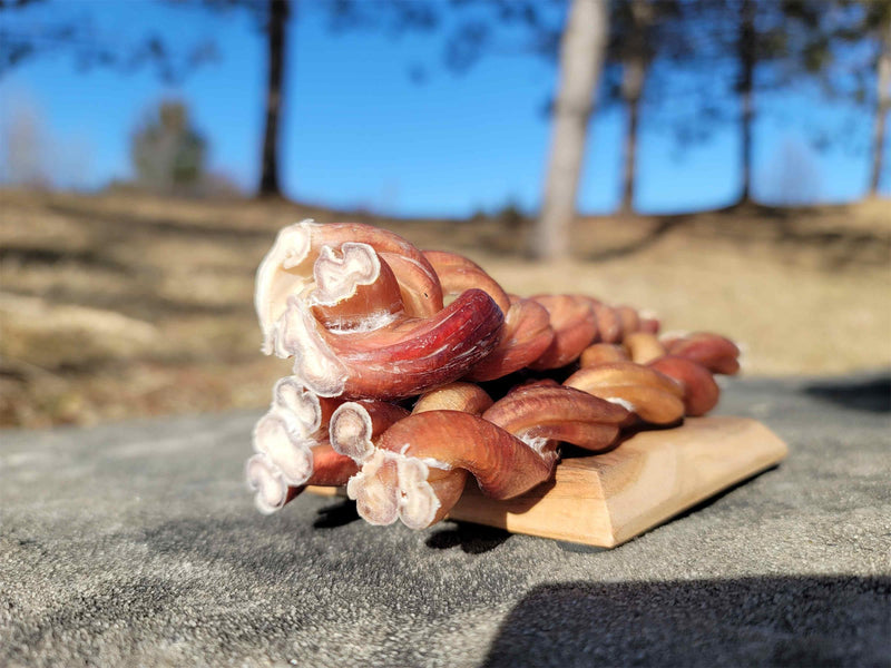 Hand-braided PUPHE bully sticks stacked on a wooden board outdoors