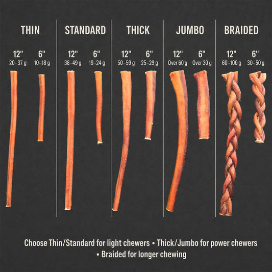 12” Jumbo Bully Sticks for Dogs – All-Natural, Long-Lasting, Low-Odor 100% Beef Chews