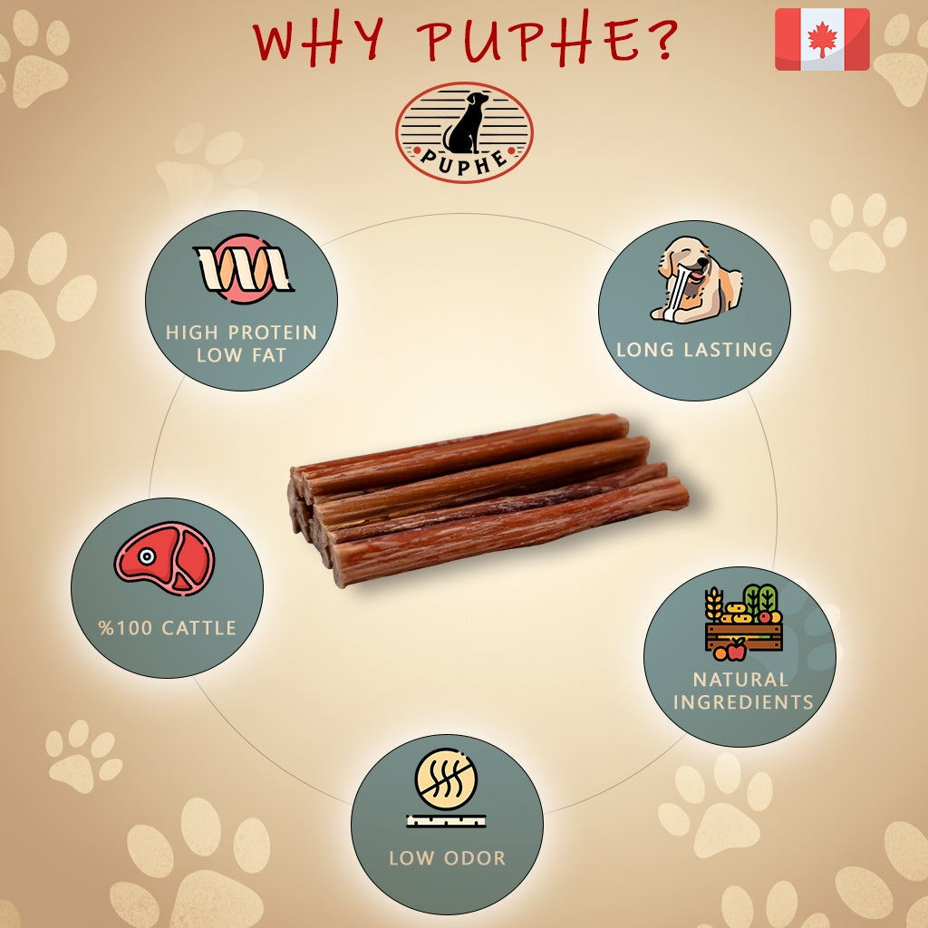 Dog treat packaging with 'PUPHE' brand, highlighting features like high protein, low fat, long-lasting, 100% cattle, natural ingredients, and low odor on a beige background with paw prints.