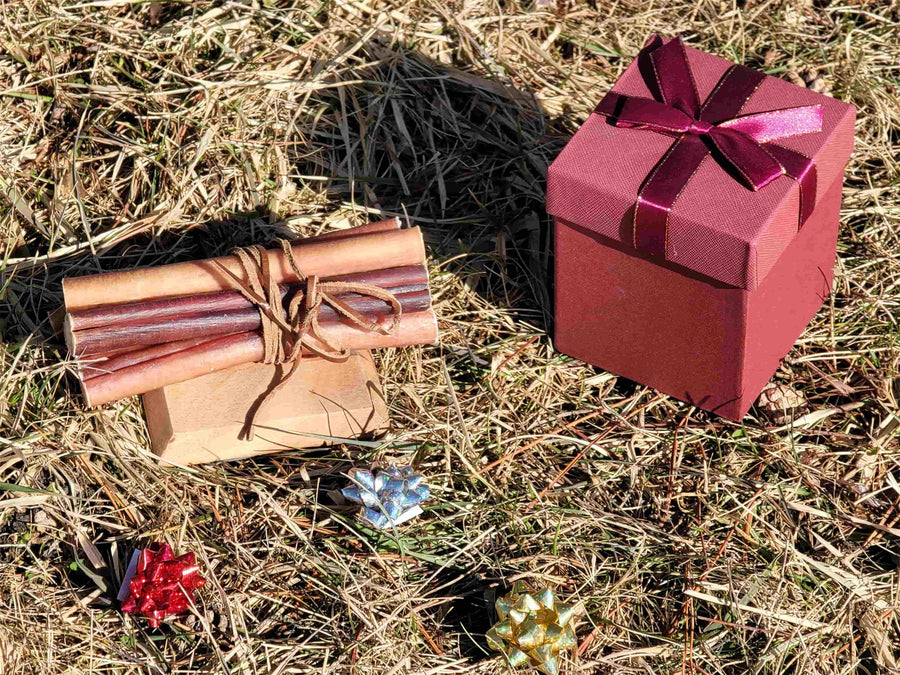 Bundle of straight bully sticks tied with leather next to a red gift box on the grass