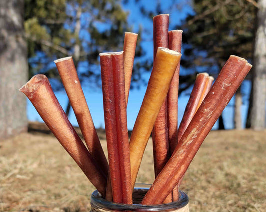 Bully Sticks Canada: What Dog Owners Should Know Before Buying