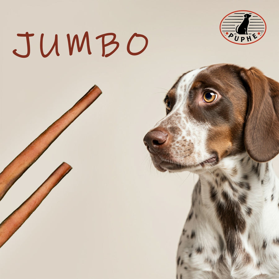 Two jumbo bully sticks next to a curious dog — the PUPHE jumbo style