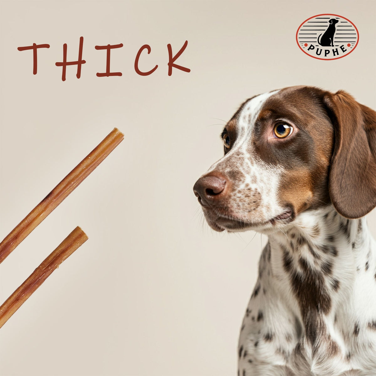 Two thick bully sticks next to a curious dog — the PUPHE thick style