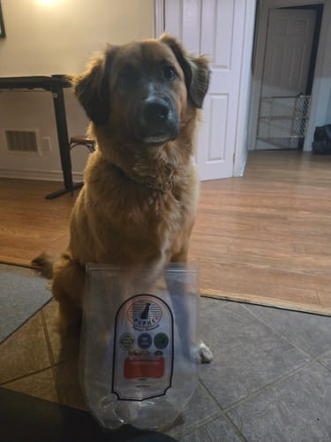 Customer photo of 12-Inch Braided Bully Sticks