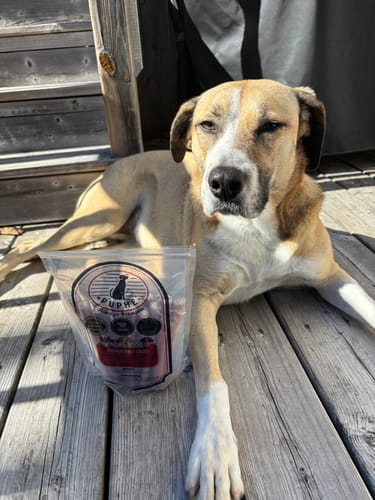 Customer photo of 6-Inch Thick Bully Sticks