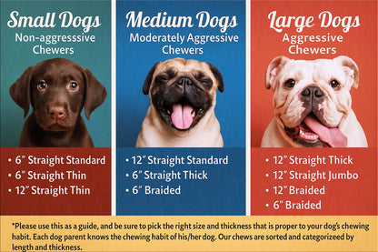 Bully stick size guide for dogs – small, medium, and large breeds with recommended chews based on chewing strength