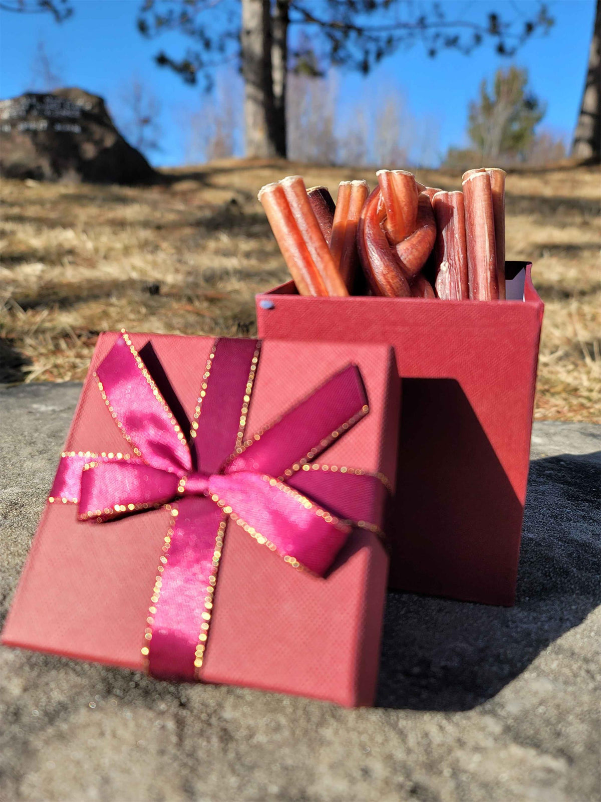 Open red gift box with a ribbon, filled with PUPHE bully sticks
