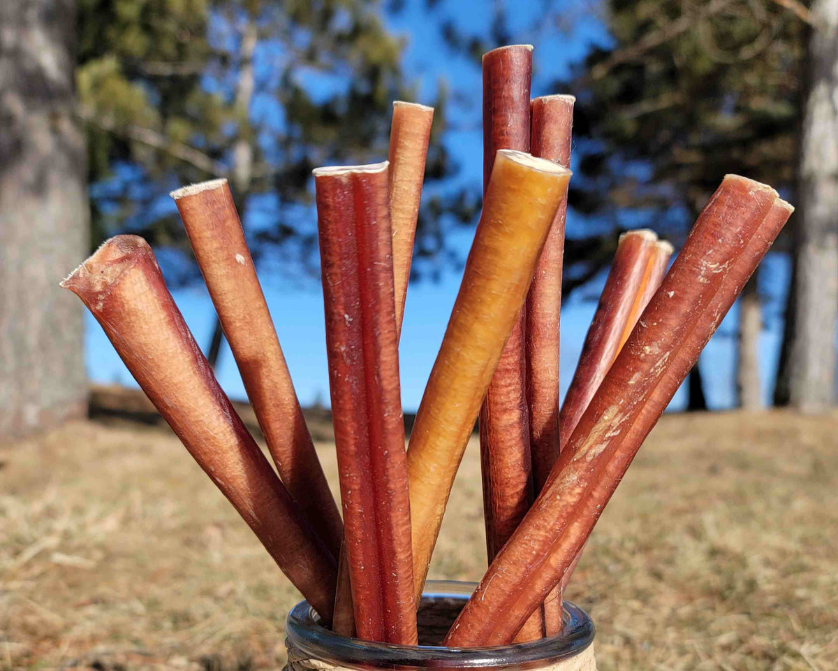 Mixed bully stick bundle in rustic rope jar – outdoor display of natural dog chews