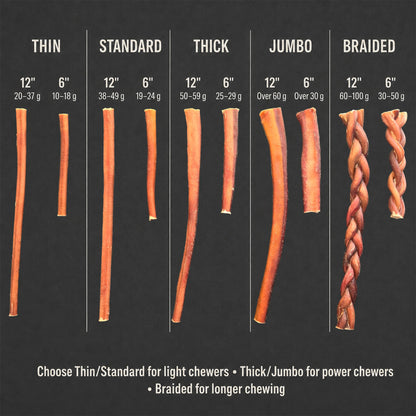 12” Jumbo Bully Sticks for Dogs – All-Natural, Long-Lasting, Low-Odor 100% Beef Chews