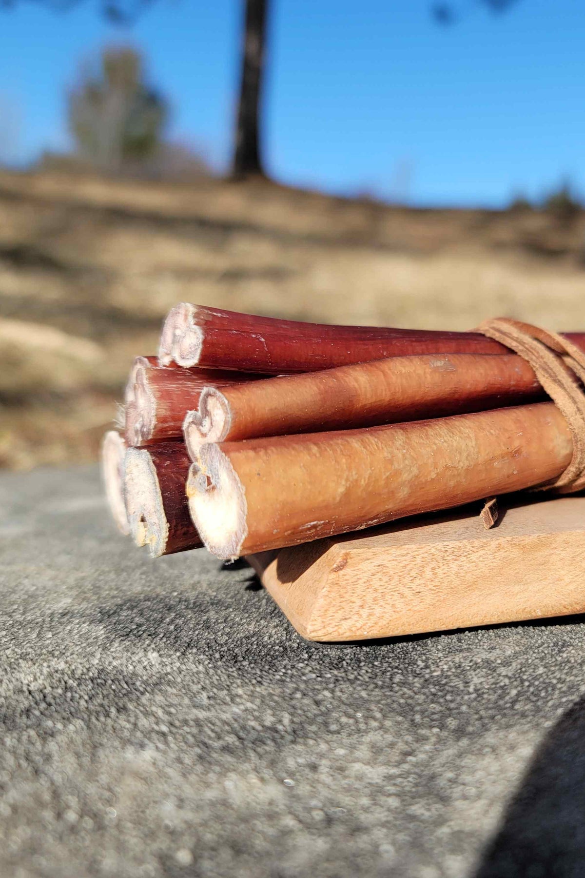 Classic straight bully sticks tied in a bundle – natural chew sticks for dogs