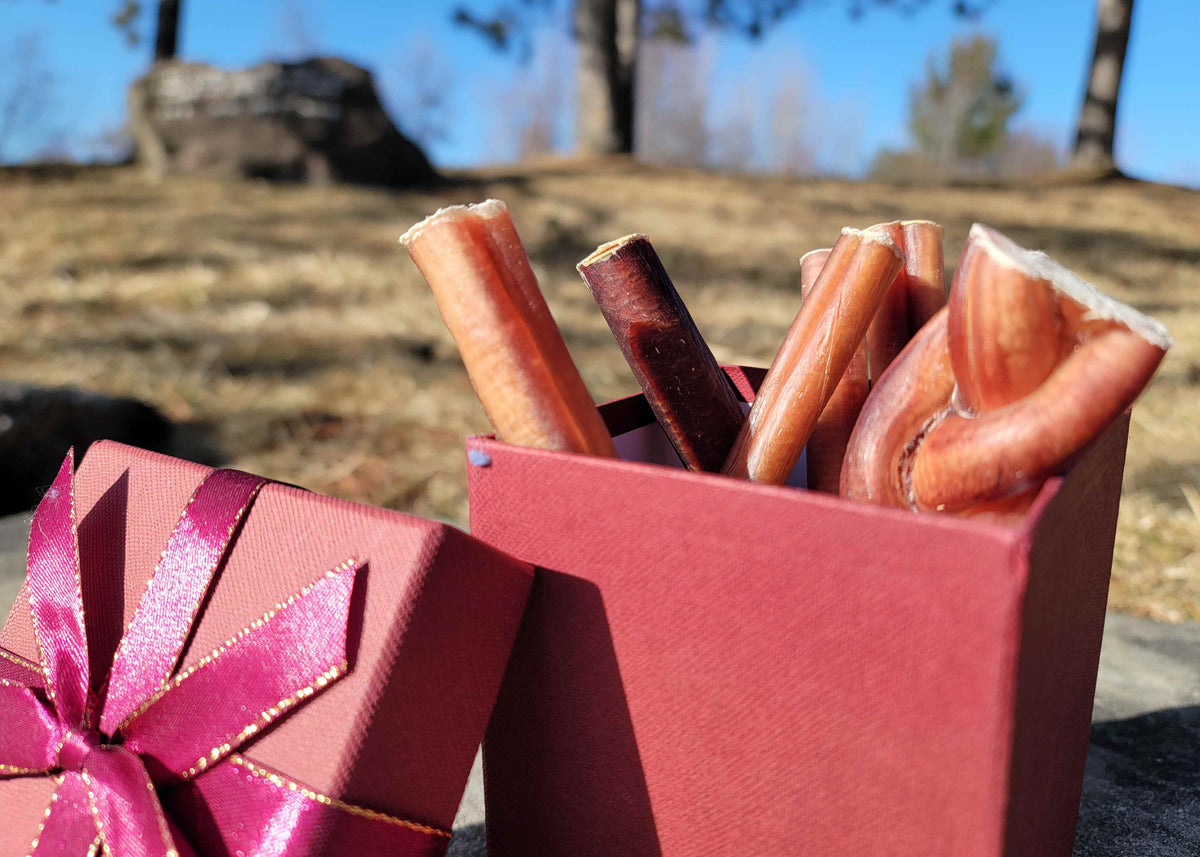 Dog chew gift box with premium bully sticks – perfect pet gift set for holidays or special occasions