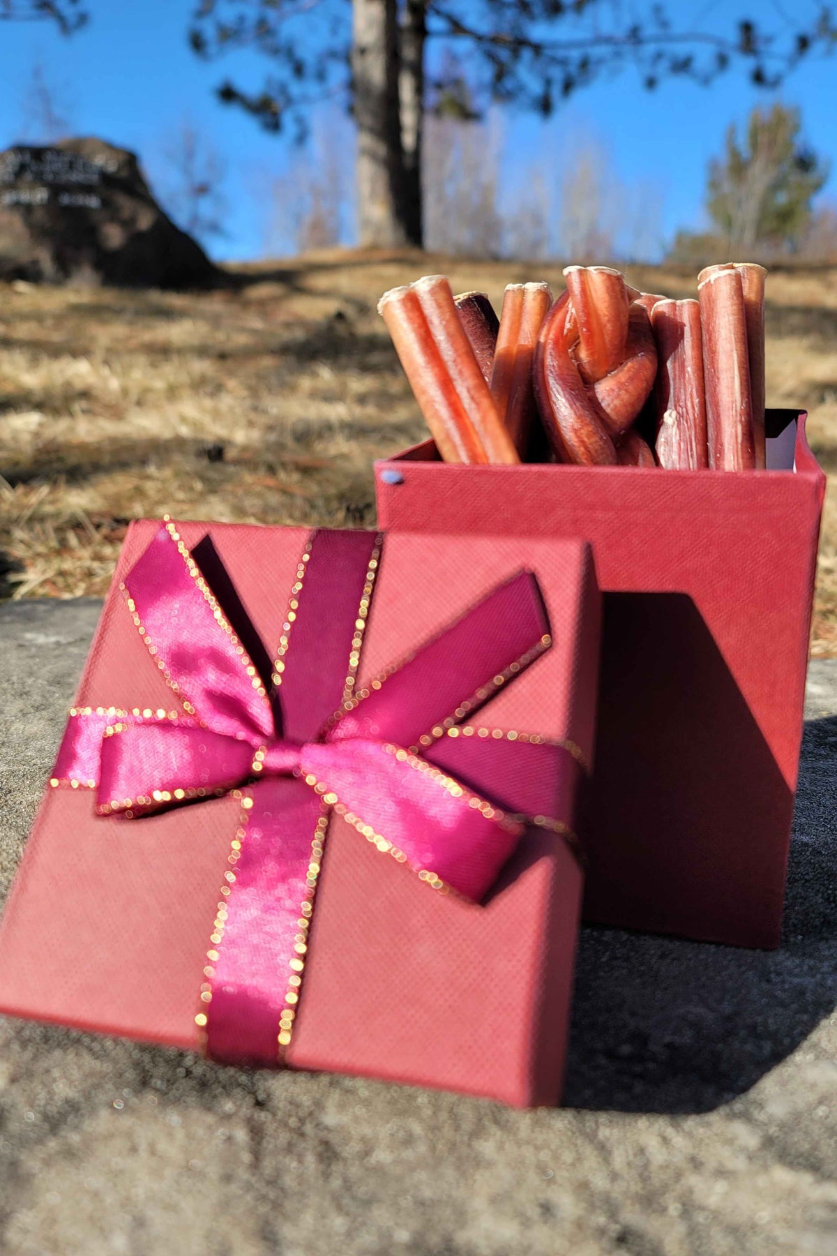 Dog chew gift box with premium bully sticks – perfect pet gift set for holidays or special occasions