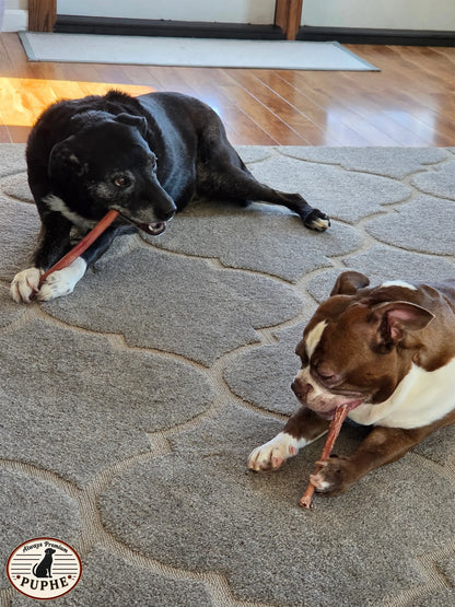 12” Jumbo Bully Sticks for Dogs – All-Natural, Long-Lasting, Low-Odor 100% Beef Chews