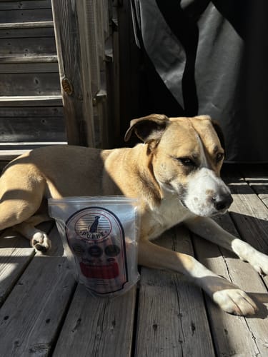 Customer photo of 6-Inch Thick Bully Sticks