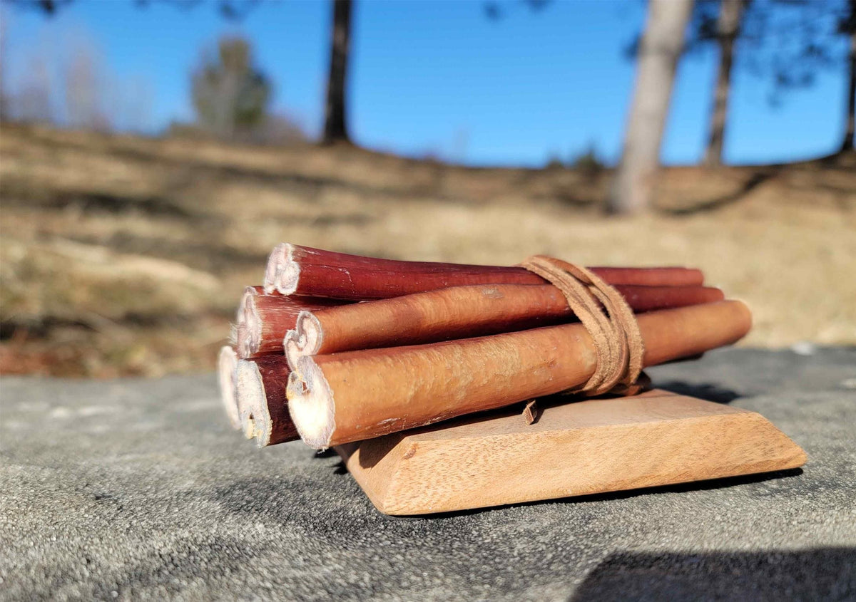 Bundle of straight PUPHE bully sticks tied with a leather strap on a wooden board, outdoors