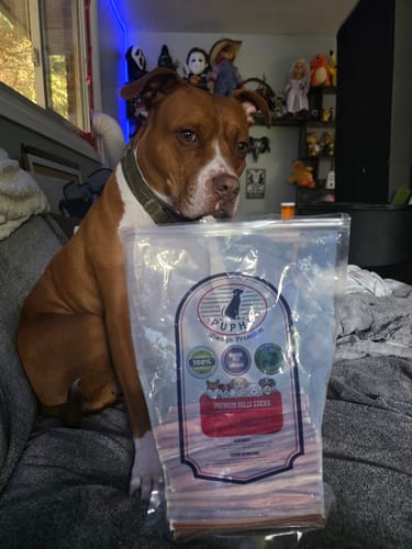 Customer photo of 6-Inch Thin Bully Sticks